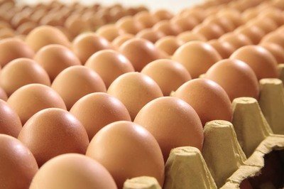 保山鸡蛋检测价格,鸡蛋检测机构,鸡蛋检测项目,鸡蛋常规检测